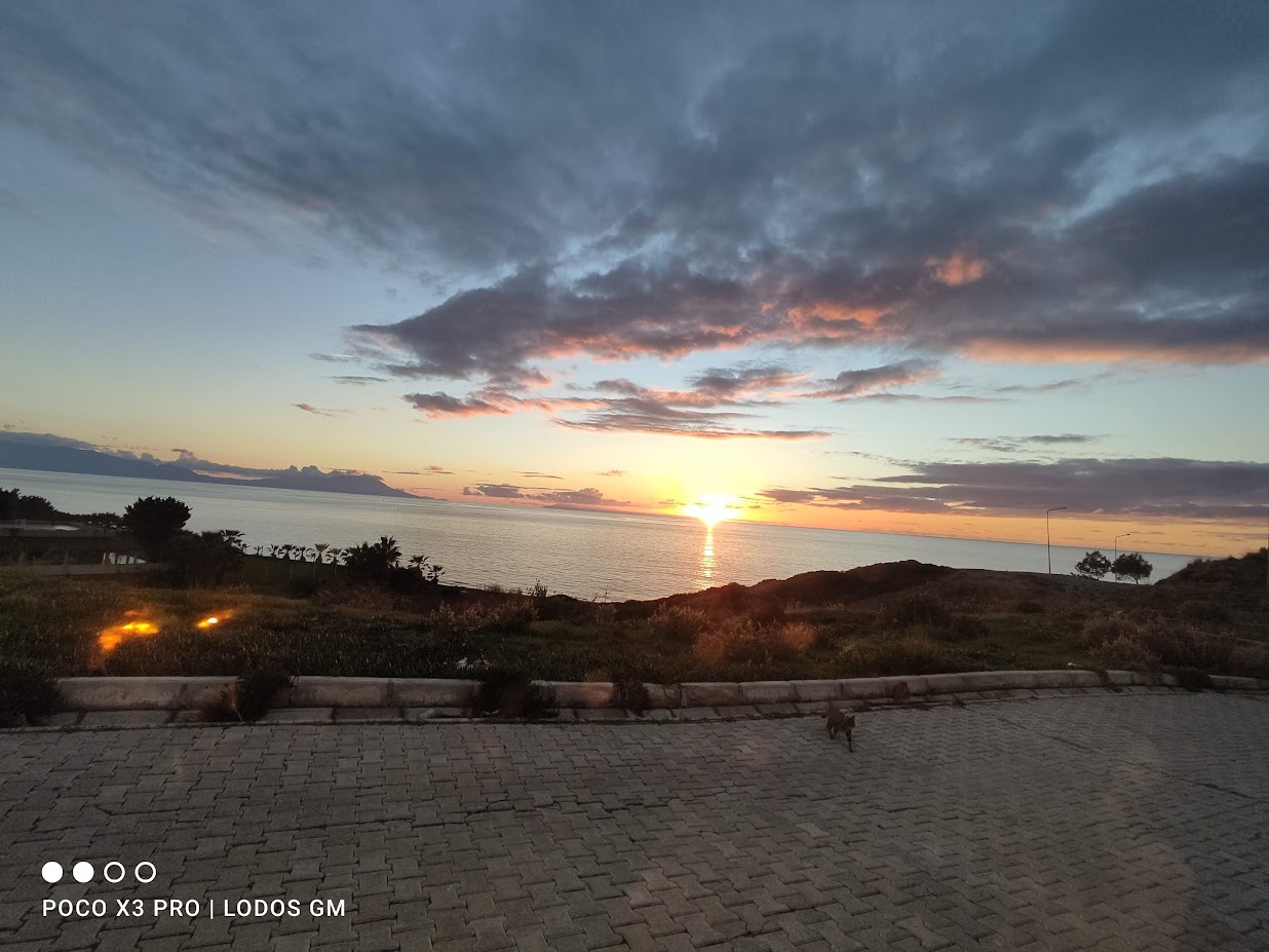 Lodos Emlak Dijitale yerleşiyor